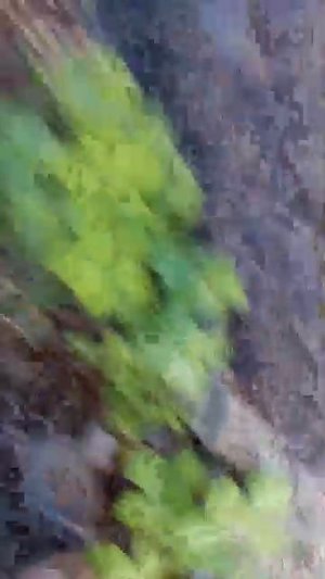 0 2