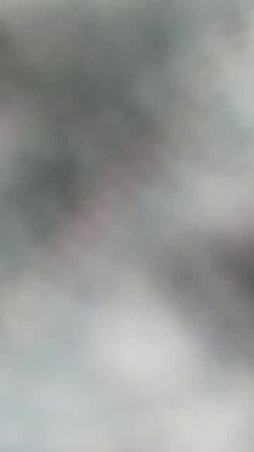 VID20260528