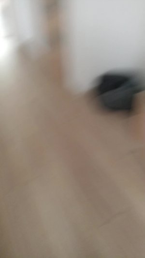Выборг 2