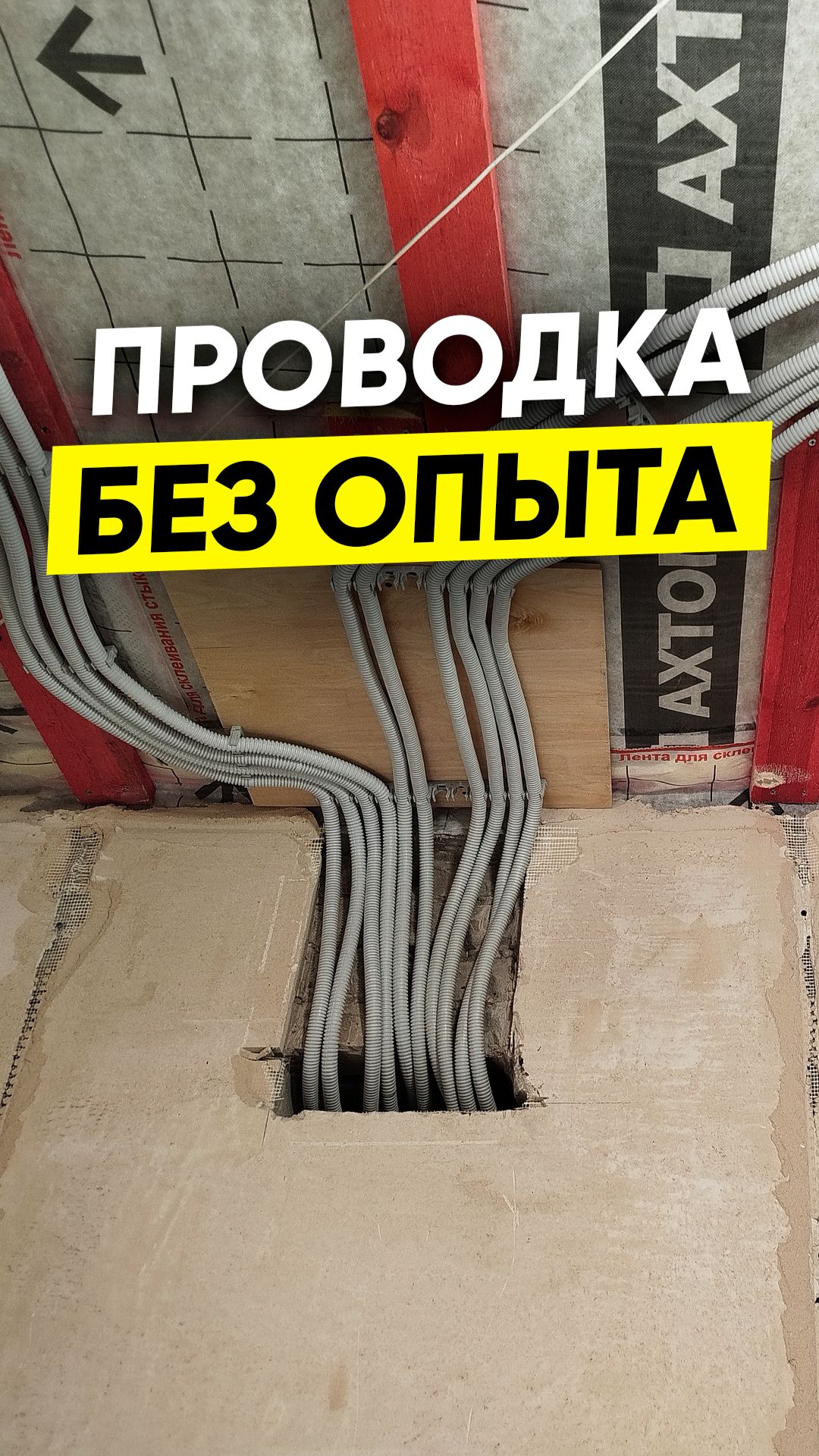 сам себе электрик. Борюсь с борщевиком Сосновского в Ленобласти, мой опыт. смотреть онлайн