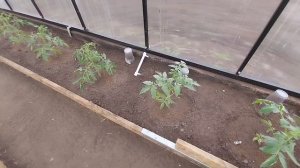Стройка века затянулась, будем завершать.