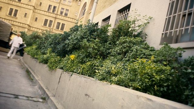 Паук-Нуар (цветная версия) 5 серия «Предательство» (сериал, 2026)