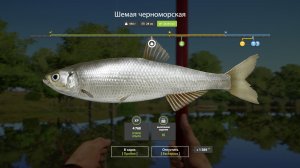 Русская Рыбалка 4-9 лет Задания: Шемая черноморская не менее 250 грамм р. Северский Донец