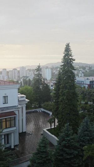Опять дожди. Сочи.