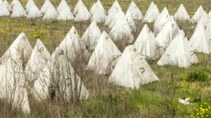 Латвия устанавливает «зубы дракона» на границе с Россией