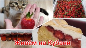 Живём на Кубани🌞 Переработала 14 кг клубники, а погода всё испортила...