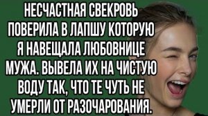 ИСТОРИИ ИЗ ЖИЗНИ|Свекровь поверила в лапшу которую я навешала|РЕАЛЬНЫЕ ИСТОРИИ|ЖИЗНЕННЫЕ ИСТОРИИ