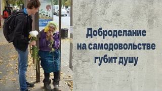 Самодовольство (см. Тщеславие)