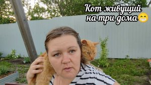 🫣 Большая беда в огороде.🪳 Медведка.Что купила от Медведки.💐 Чем буду обрабатывать сад-огород