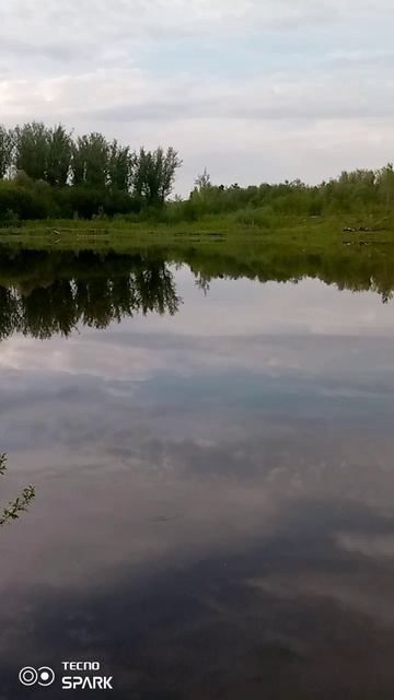 На рыбалке 🐟 смотреть онлайн
