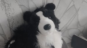 кормёжка Часпера ☺(возможно на нг будет новый Дуглас 🥳)