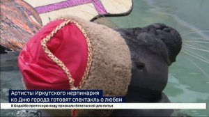 В иркутском нерпинарии готовят подарок ко Дню города