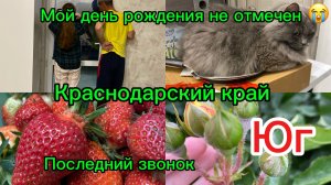 Купили дом. Без голоса. Последний звонок у младшей. Мой день рождения в пролёте. Ангина.