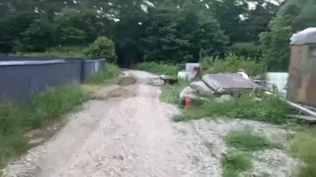 На прогулке