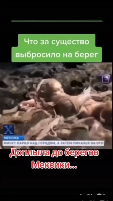 🤣 смотреть онлайн