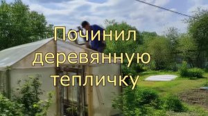 Починил деревянную теплицу,  лучше бы новую купил