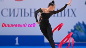 №227 Звери - Вишневый сад (1:30)/Индивидуальная программа/Музыка для художественной гимнастики
