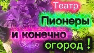 Театр в Ейске . Пионеры . И конечно огород!