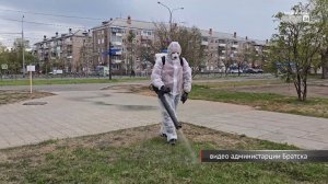 Братчан забыли предупредить о проведении обработки парков от клещей