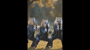 капибары танцуют