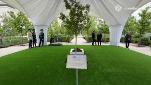 Владимир Путин и Касым-Жомарт Токаев примут участие в церемонии посадки дерева, 28 мая 2026 года