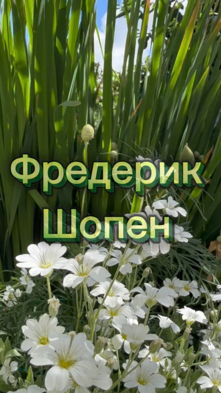 Фредерик Шопен, вальс, классическая музыка