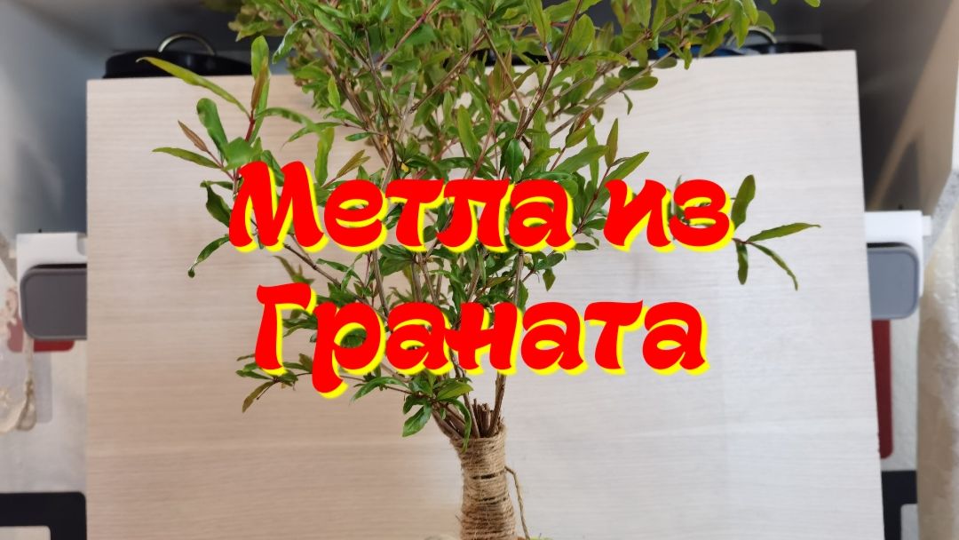 Метла из граната