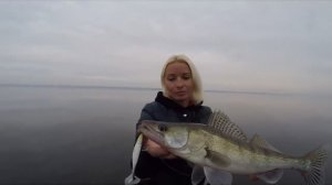 БЛОНДИНКА ОБЛОВИЛА МУЖИКОВ! ТОП ПРИМАНКА НА СУДАКА! Ловля судака  Рыбалка