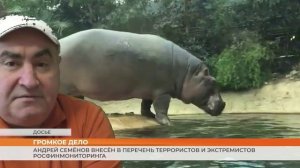 Громкое дело