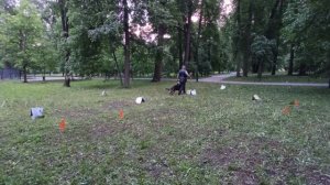 РО1_Минаев_Николай_Блиц_Кубок_Панды_2026_по_Ралли_Обидиенс_онлайн.mp4