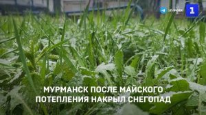 Мурманск после майского потепления накрыл снегопад