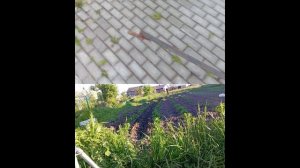 Окучиватель для картошки ручной самодельный своими руками