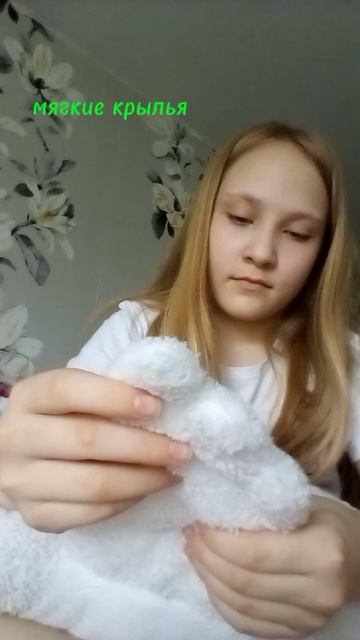 показываю вам гуся