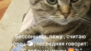 с Добрым утром 🌄 солнышки?!😊