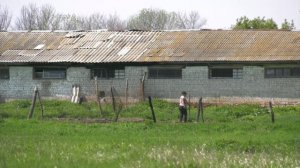 Уже 660 жителей Воронежской области пострадало от уксусов клещей