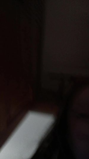 влог