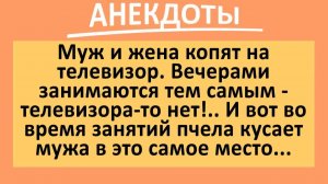 Пчела кусает мужика в ЭТО самое место. Жена - в восторге!... | Анекдоты смешные | Юмор