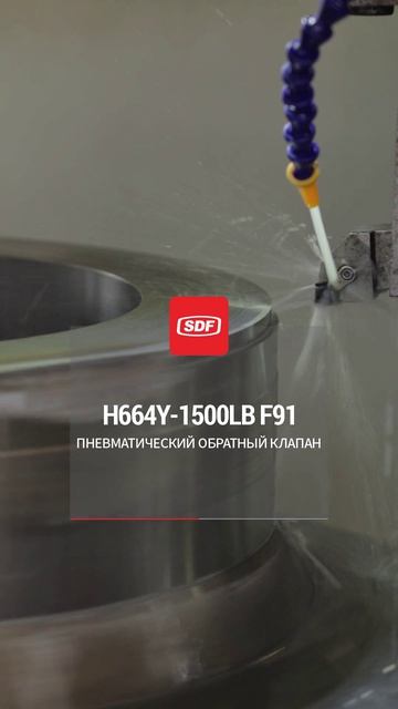 H664Y-1500LB F91 Пневматический обратный клапан-SDF