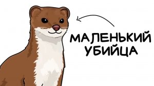 Ты - Ласка (И ЭТО ВСЯ ТВОЯ ЖИЗНЬ)