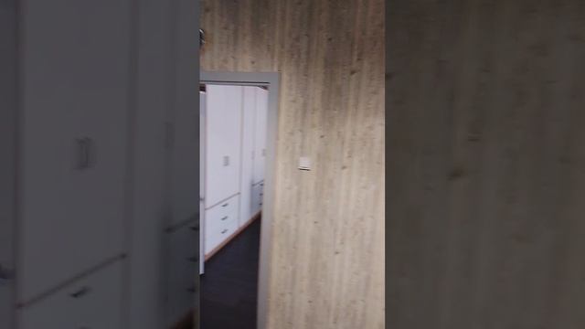 Квартира обзор