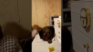 Рисую по клеточкам ✏️  , поиграем в слова 👌