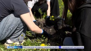 Угольщики группы компаний ТАЛТЭК и школьники высадили кустарники в парке национальных культур