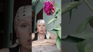 Лекарственные травы🌿Какие растения я заготавливаю
