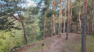 Немного об образовании и не только