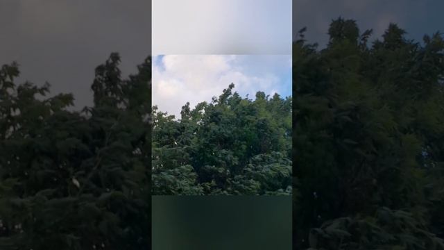 ВСЕ ПРО ВСЕ/// У НАС ХОЛОДНО///😶🌫️ смотреть онлайн