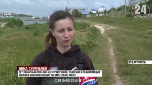 История спасения: за жизнь двух дельфинов борются севастопольские волонтёры