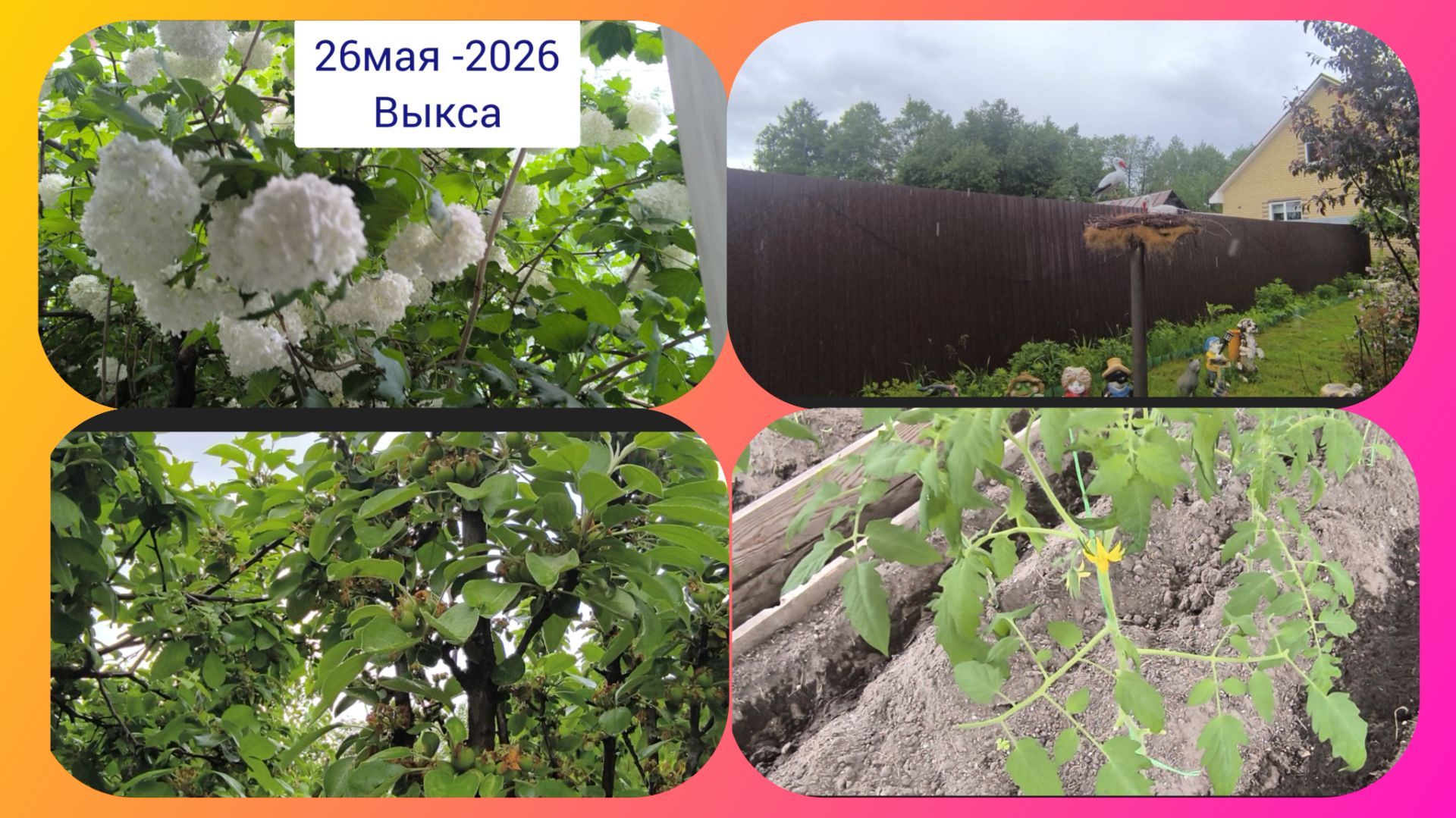 26-05-2026.Жизнь в деревне.У нас задождило,но мы работаем ⛈️ смотреть онлайн