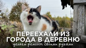 Как мы готовимся к зиме? | Утепление опилками | Тестируем самый дешевый триммер
