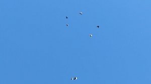 молодёжь и прошло годние делают дела в Горловке