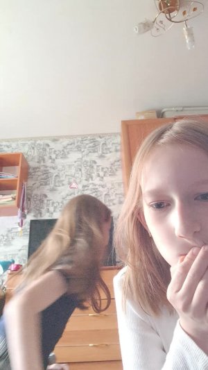 Арчи